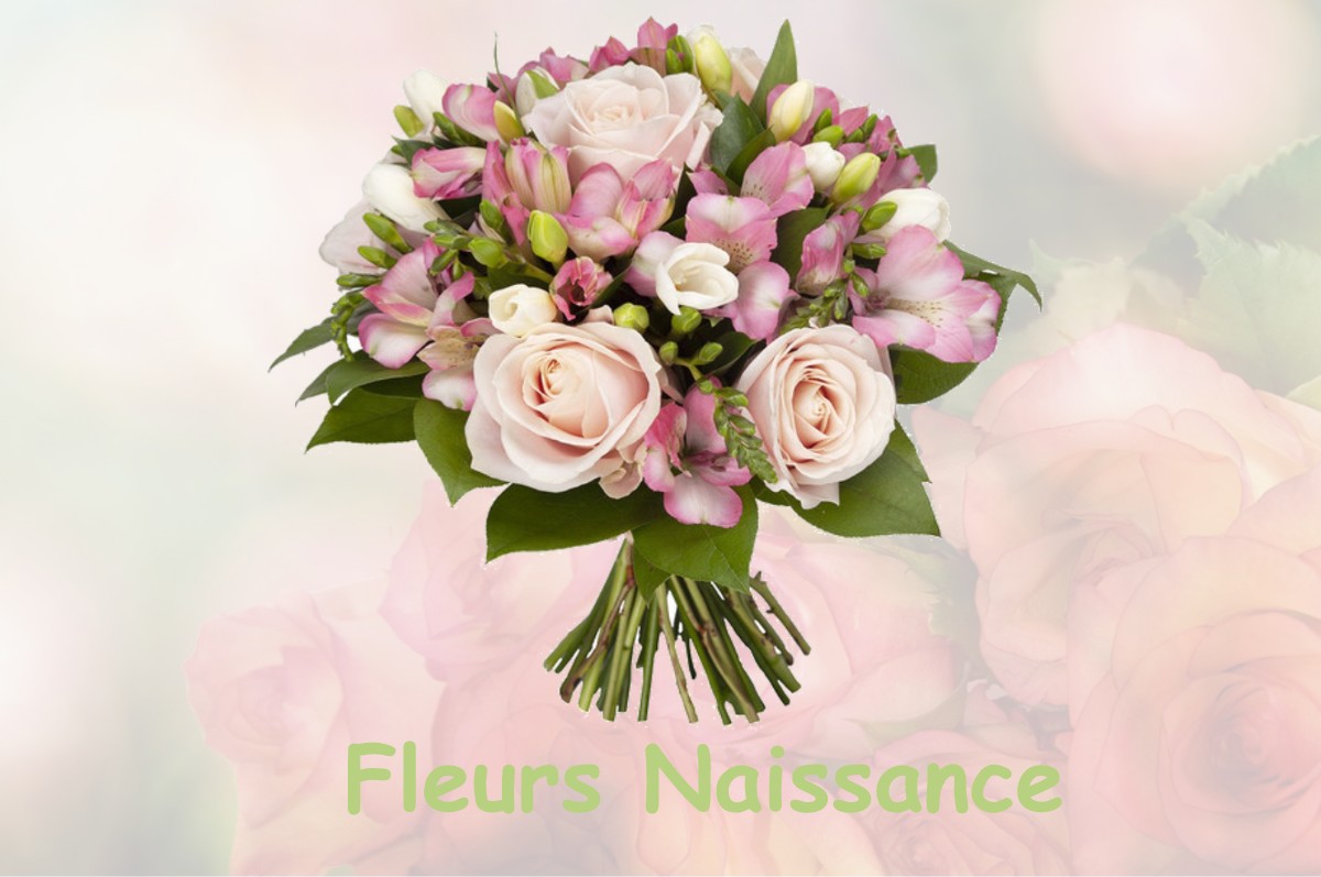 fleurs naissance SAINT-MARCELIN-DE-CRAY
